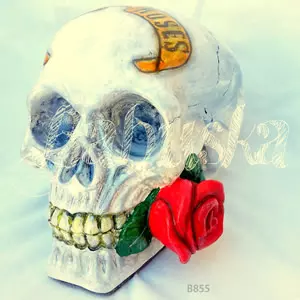 Calavera Guns and Roses